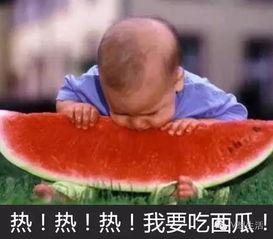 玩泥看娱乐吃瓜,揭秘娱乐圈的泥与瓜  第2张